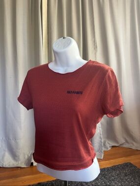 Bad Habit Ribbed Crewneck Tee in Rust